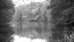 MG_7348