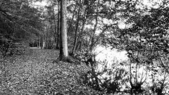 MG_7356
