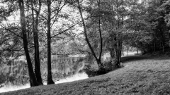 MG_7389