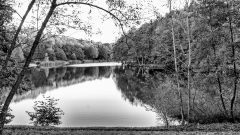 MG_7398