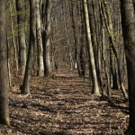 Frühling_2020_Burbacher_WW-_-002