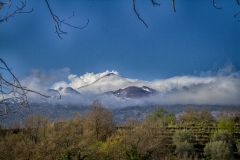 MG_4337