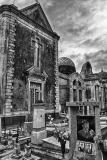MG_4386