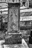 MG_4387