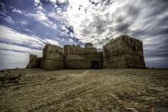 MG_4554