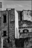 MG_4747