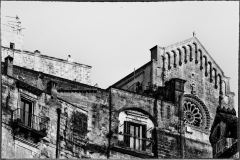 MG_4749-1