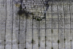 MG_4907