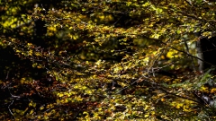 DiePfalz_680