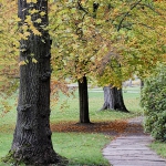 DSC5480_HDR_DFG_Herbst_2020