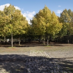 Saarbrücken_2140