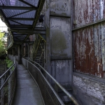 DSC2567