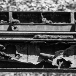 DSC2765sw
