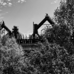 DSC2774sw