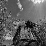 DSC2788sw