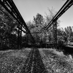DSC2804sw
